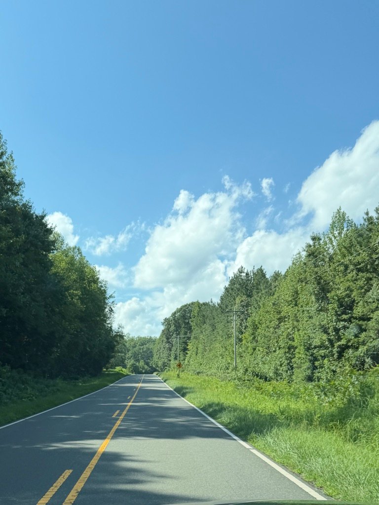 Quiet tree-lined road near Bahama and Rougemont, North Carolina
