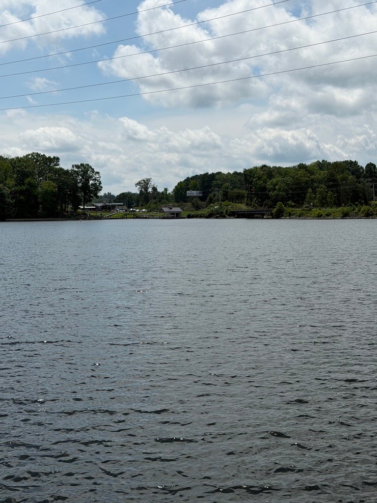 Quiet shoreline view at Hyco Lake