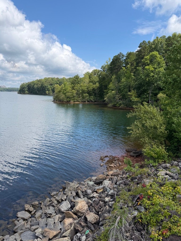 Rocky shoreline and wooded water view at Mayo Lake